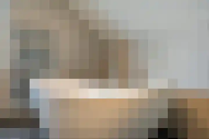 De Aak 136 Dedemsvaart thumbnail 42