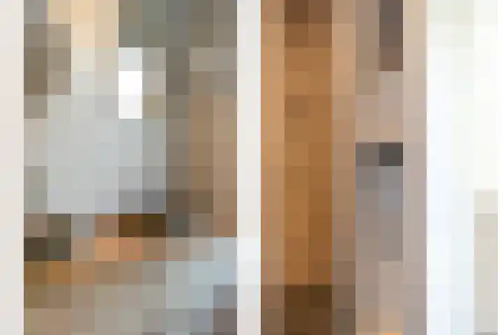 De Aak 136 Dedemsvaart thumbnail 43