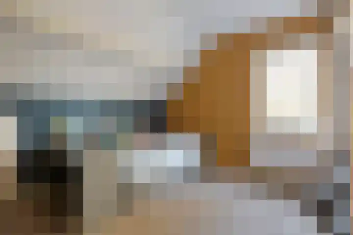De Aak 136 Dedemsvaart thumbnail 44