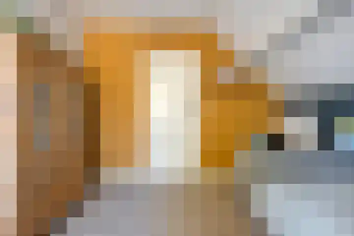De Aak 136 Dedemsvaart thumbnail 45