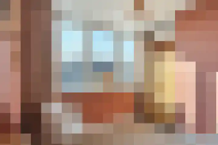 De Aak 136 Dedemsvaart thumbnail 47