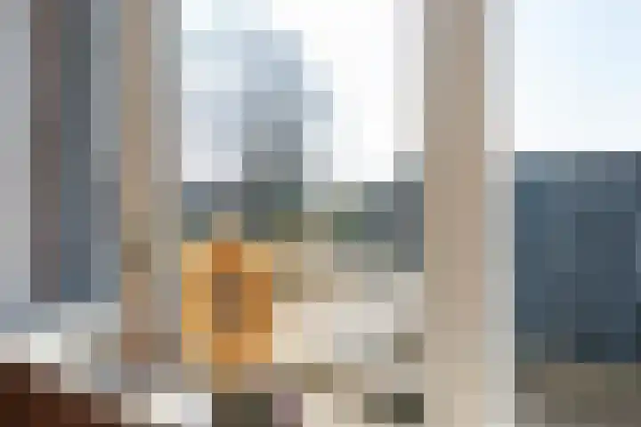 De Aak 136 Dedemsvaart thumbnail 48