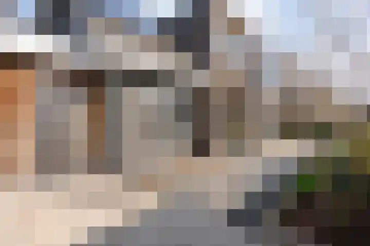 De Aak 136 Dedemsvaart thumbnail 5