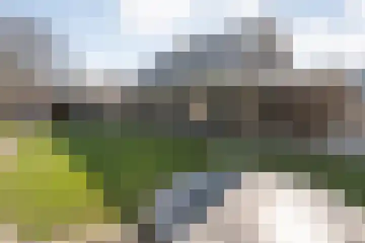 De Aak 136 Dedemsvaart thumbnail 50