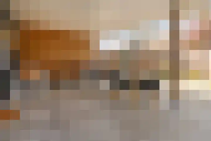 De Aak 136 Dedemsvaart thumbnail 53