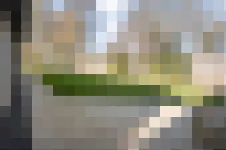 De Aak 136 Dedemsvaart thumbnail 54