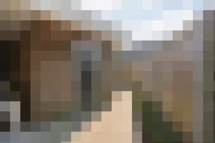 De Aak 136 Dedemsvaart thumbnail 57