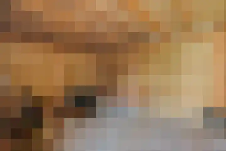 De Aak 136 Dedemsvaart thumbnail 58