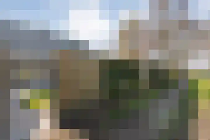 De Aak 136 Dedemsvaart thumbnail 59