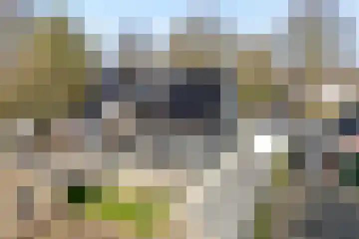 De Aak 136 Dedemsvaart thumbnail 62