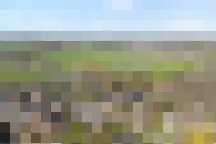De Aak 136 Dedemsvaart thumbnail 63