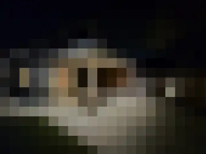 De Aak 136 Dedemsvaart thumbnail 66