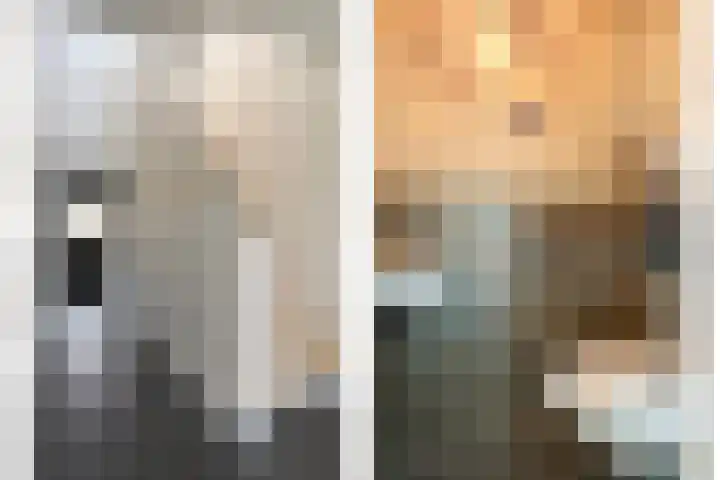 De Aak 136 Dedemsvaart thumbnail 8