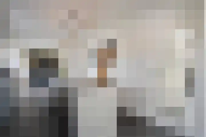 De Aak 136 Dedemsvaart thumbnail 9