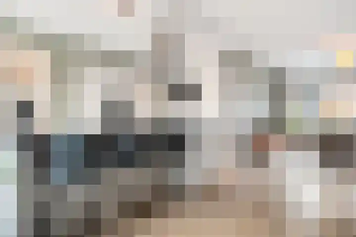 De Aak 26 Dedemsvaart thumbnail 14