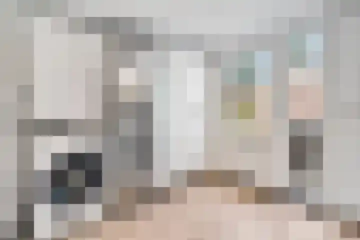 De Aak 26 Dedemsvaart thumbnail 18