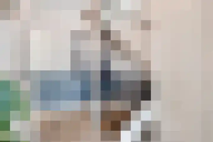 De Aak 26 Dedemsvaart foto 2