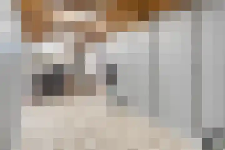 De Aak 26 Dedemsvaart thumbnail 20