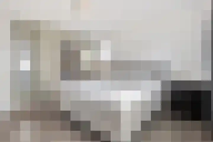 De Aak 26 Dedemsvaart thumbnail 24