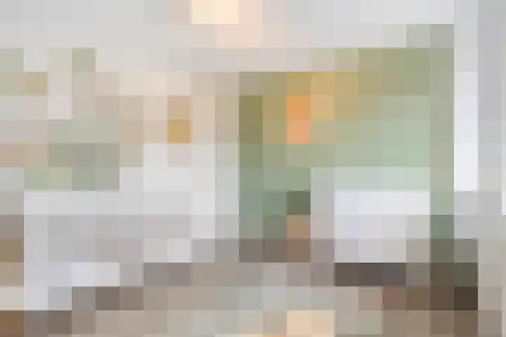 De Aak 26 Dedemsvaart thumbnail 28