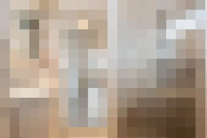 De Aak 26 Dedemsvaart thumbnail 30