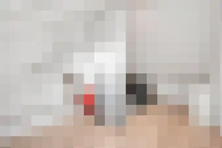 De Aak 26 Dedemsvaart thumbnail 32