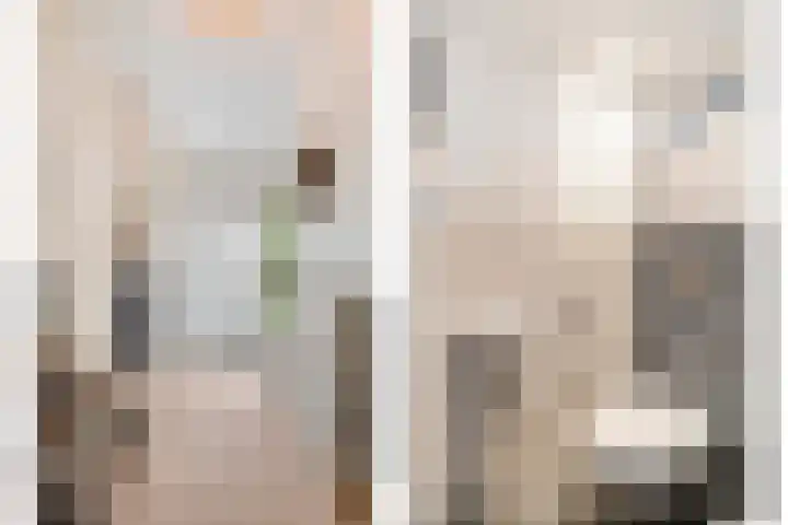 De Aak 26 Dedemsvaart thumbnail 4