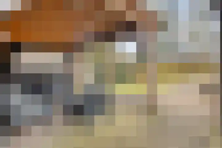 De Aak 26 Dedemsvaart thumbnail 42