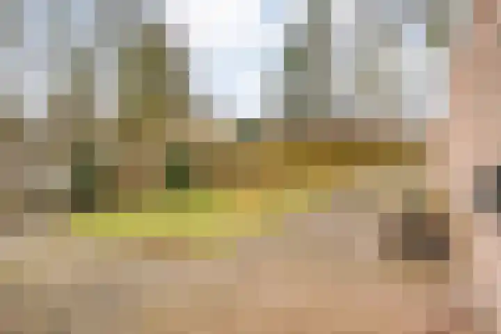 De Aak 26 Dedemsvaart thumbnail 43