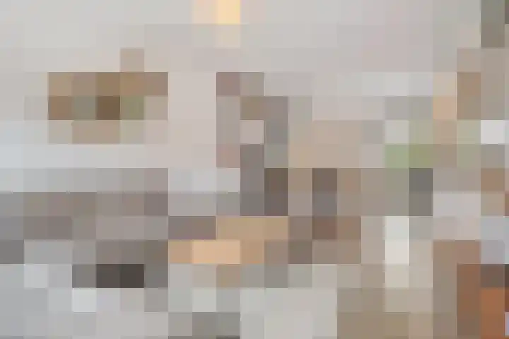 De Aak 26 Dedemsvaart thumbnail 6
