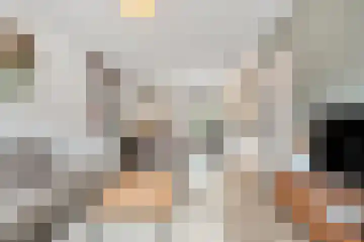 De Aak 26 Dedemsvaart thumbnail 7
