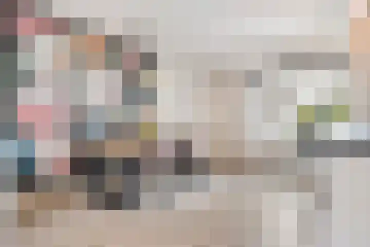 De Aak 26 Dedemsvaart thumbnail 9