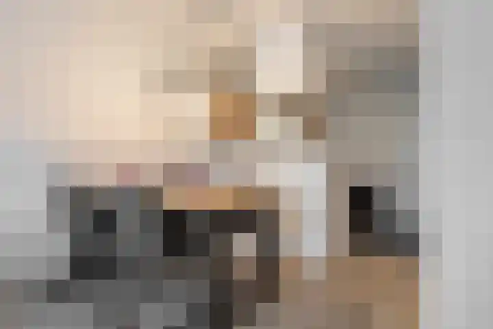 de Aak 42 Baarn thumbnail 13