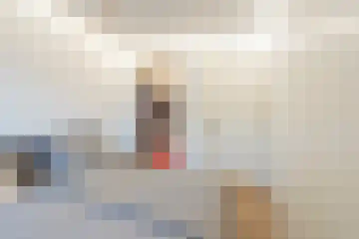 de Aak 42 Baarn thumbnail 20