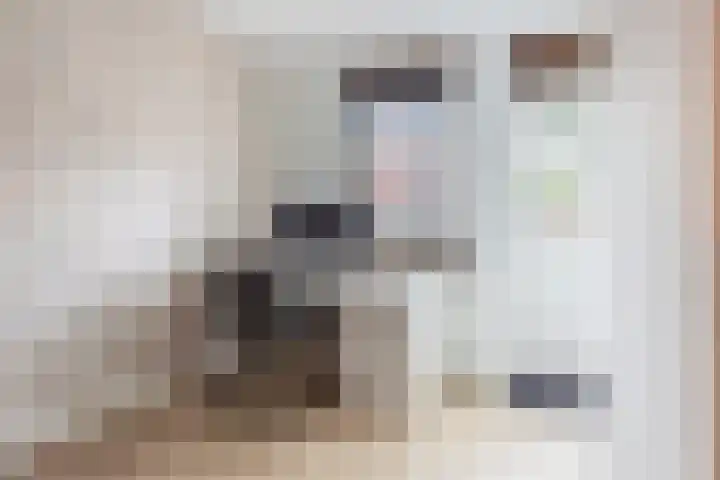 de Aak 42 Baarn thumbnail 26