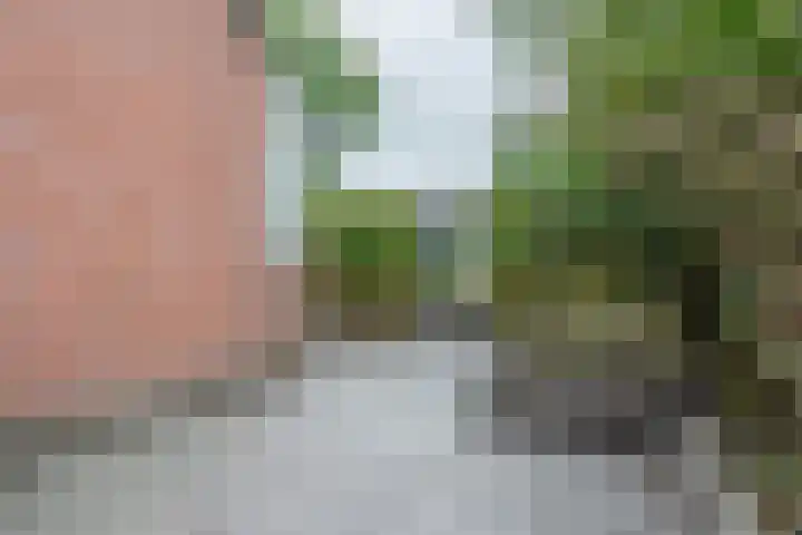 de Aak 42 Baarn thumbnail 35