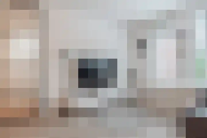 de Aak 42 Baarn thumbnail 9