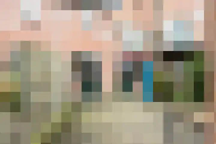 de Aak 43 Baarn thumbnail 18