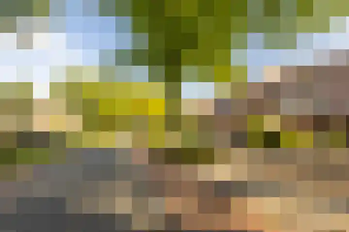 de Aak 43 Baarn thumbnail 20