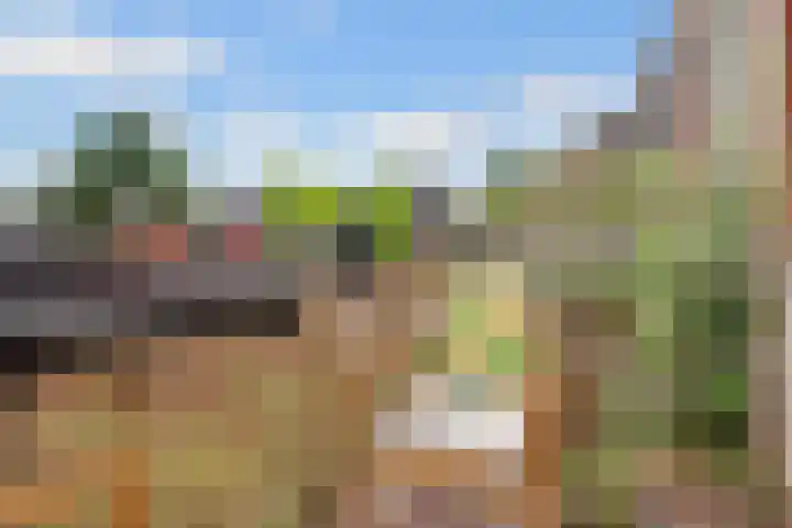 de Aak 46 Baarn thumbnail 16
