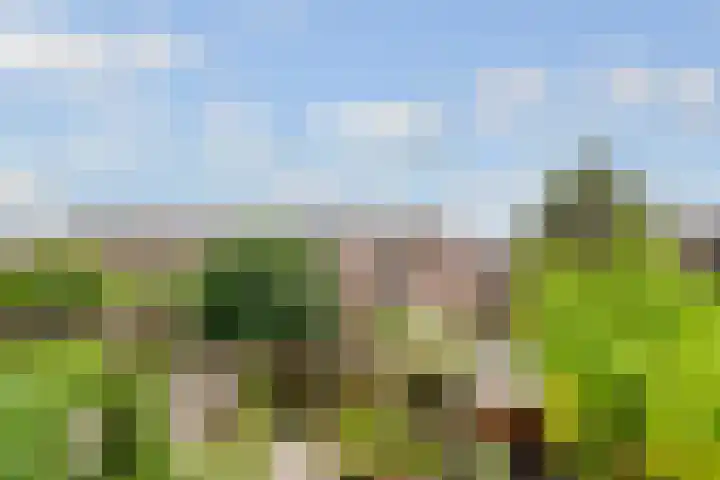 de Aak 46 Baarn thumbnail 17