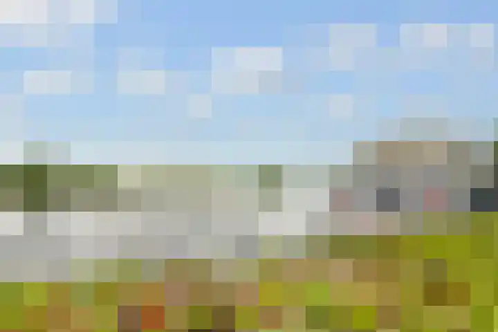 de Aak 46 Baarn thumbnail 30
