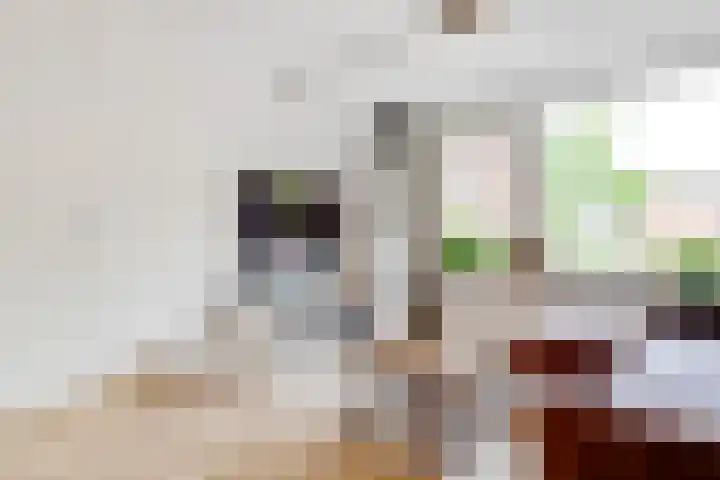 de Aak 46 Baarn thumbnail 5