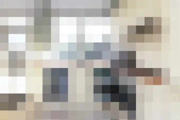 de Aak 46 Baarn thumbnail 8