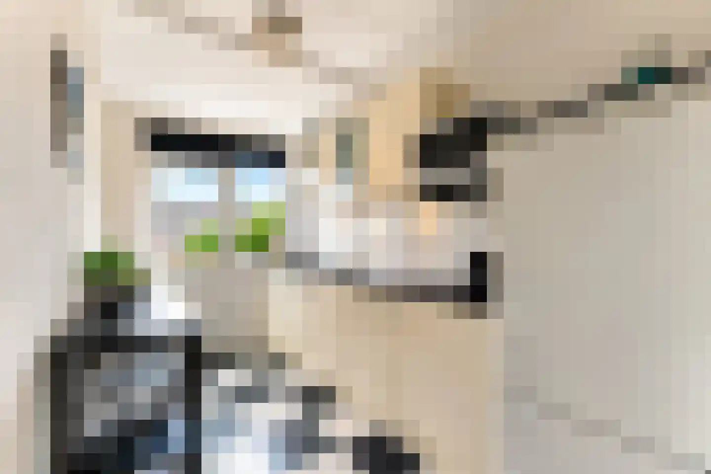 de Aak 48 Baarn thumbnail 11