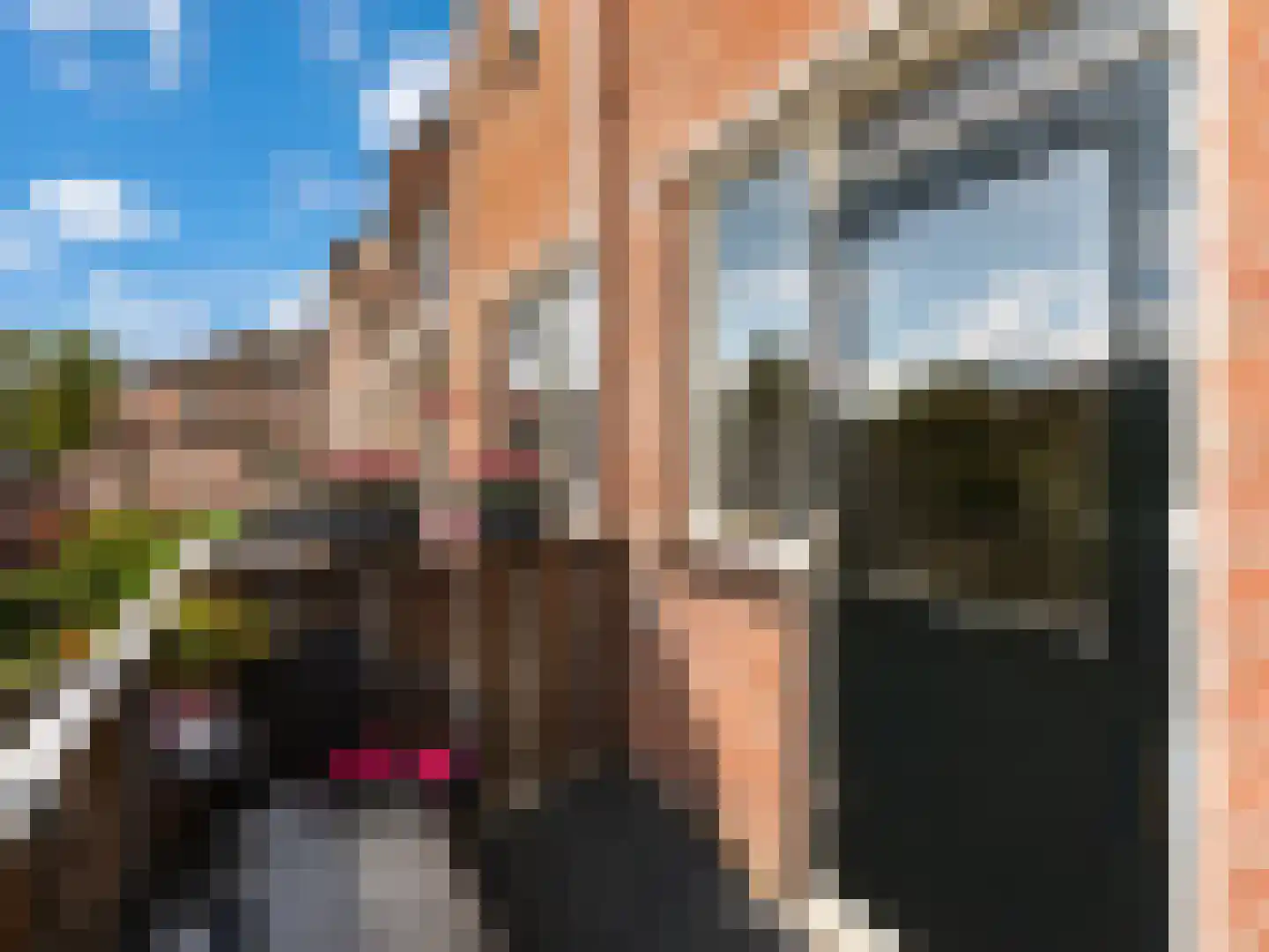 de Aak 48 Baarn thumbnail 12