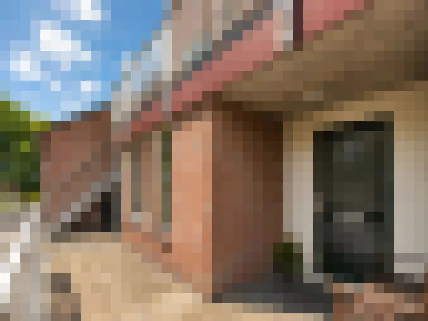 de Aak 48 Baarn thumbnail 18