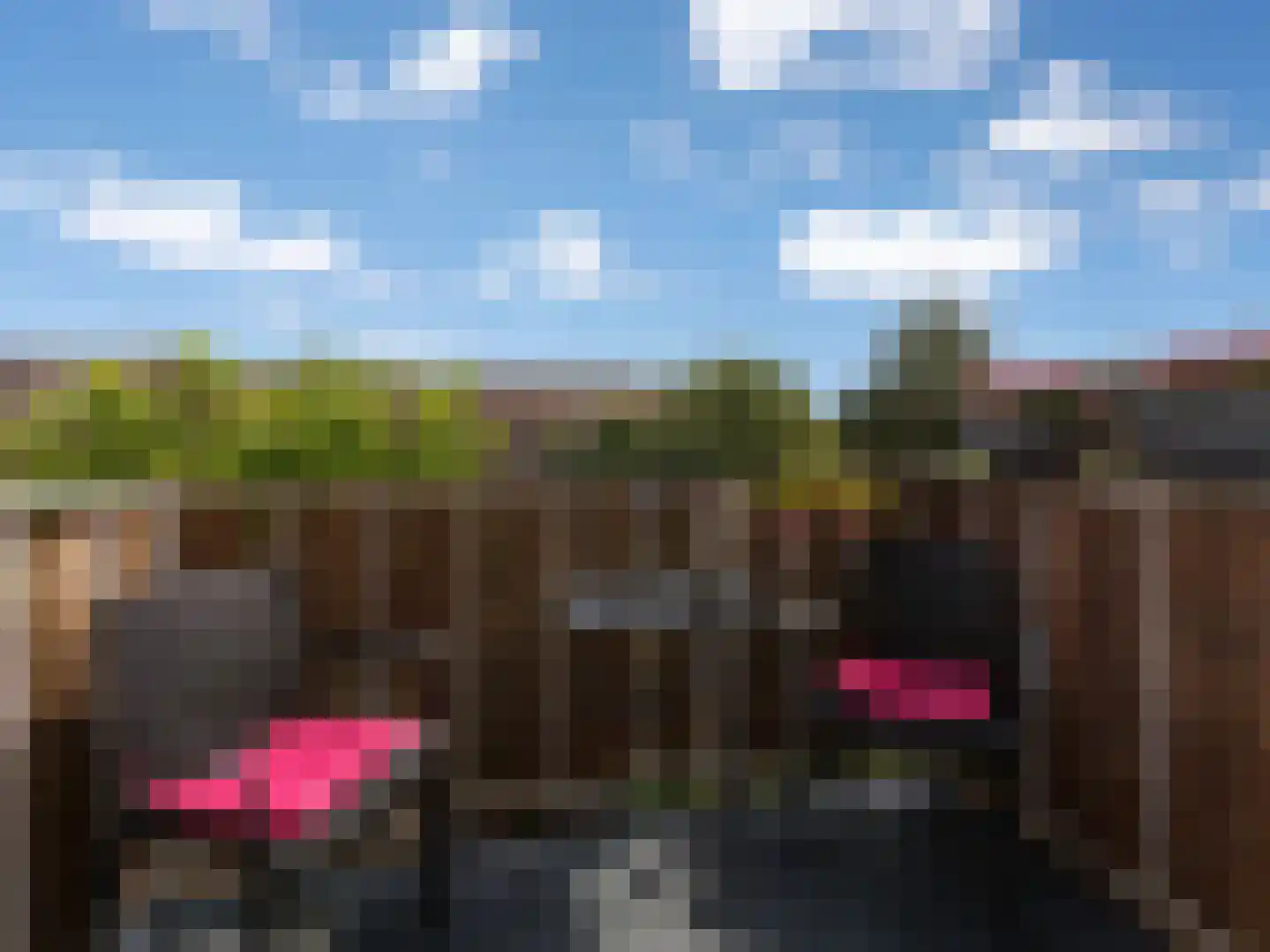 de Aak 48 Baarn thumbnail 5