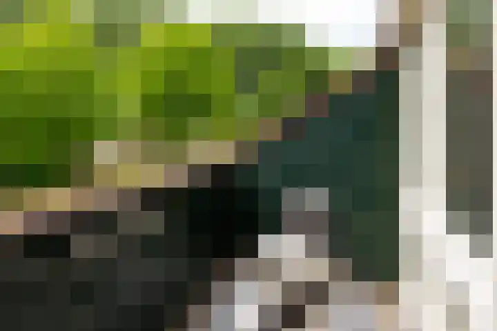 de Aak 49 Baarn thumbnail 19