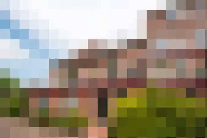 de Aak 49 Baarn thumbnail 20